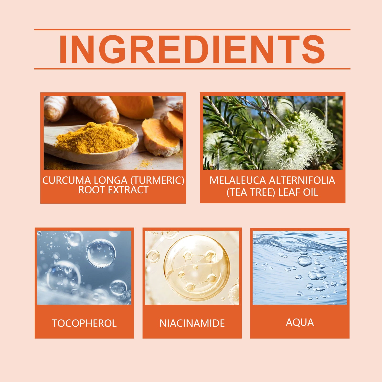 West Month Turmeric Moisturizing Cream